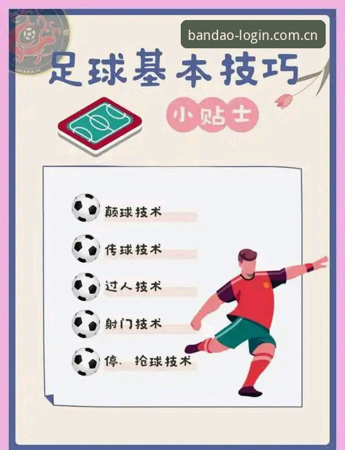 半岛体育综合平台实用技巧：从注册到高阶玩法的必备知识